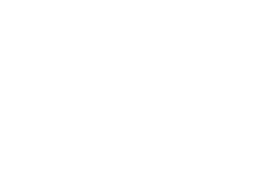 seos-group-golden-city